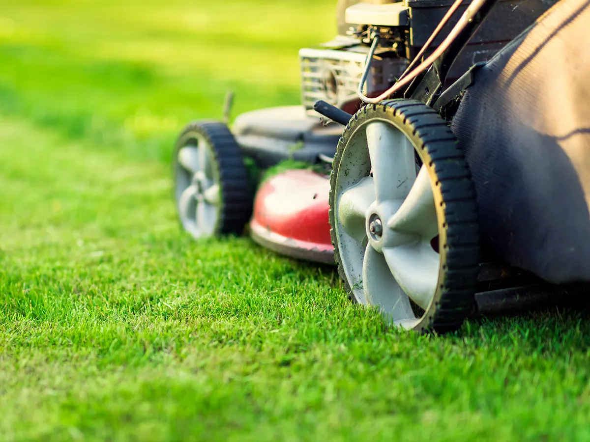 lawncare maintenance provided patio home lawncare maintenance provided patio home